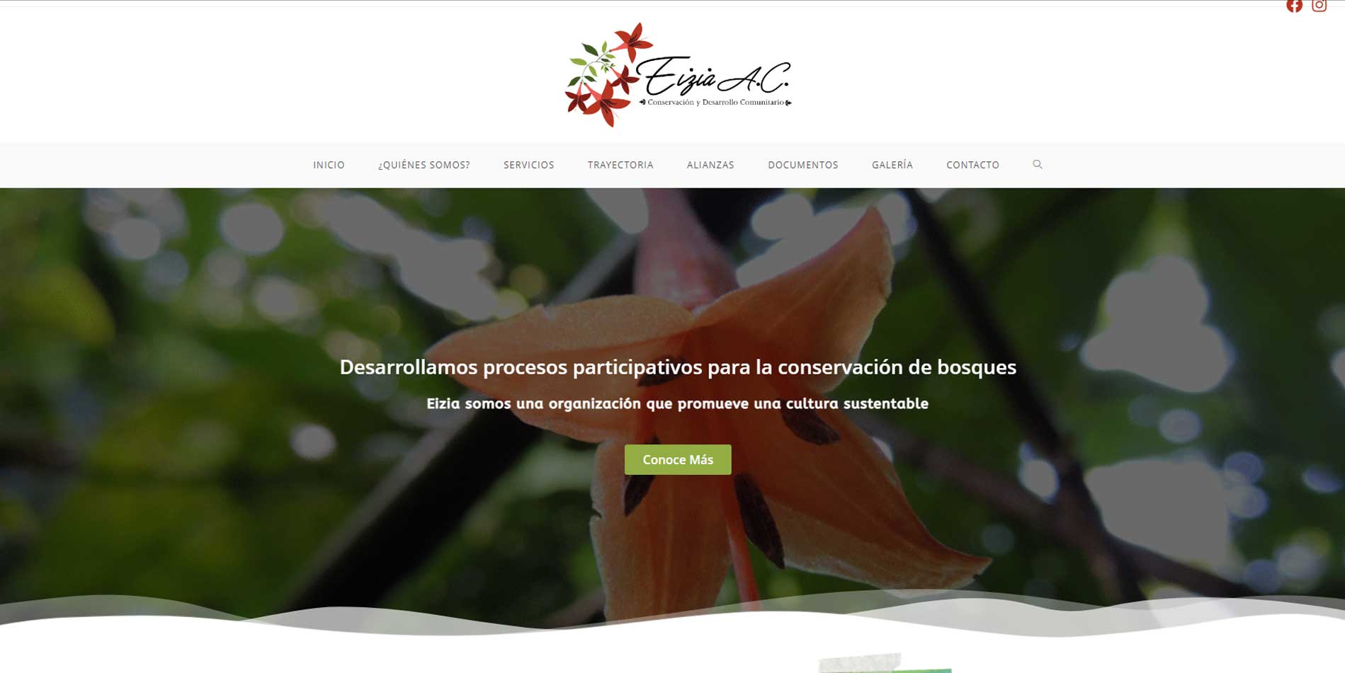 Sitios web en Tapachula, Chiapas 2023